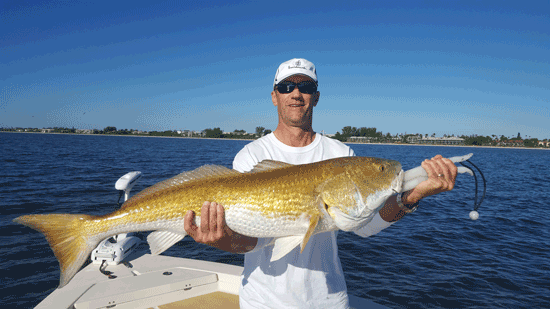 Red Fish Catch | Red Fish Fishing Charters with Clarence Reed
