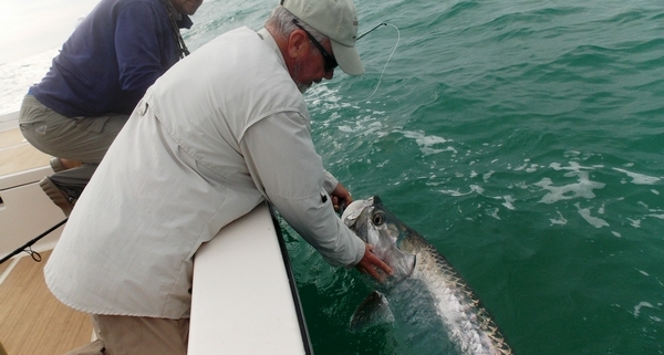 tarpon release