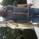 charter fishing fort myers